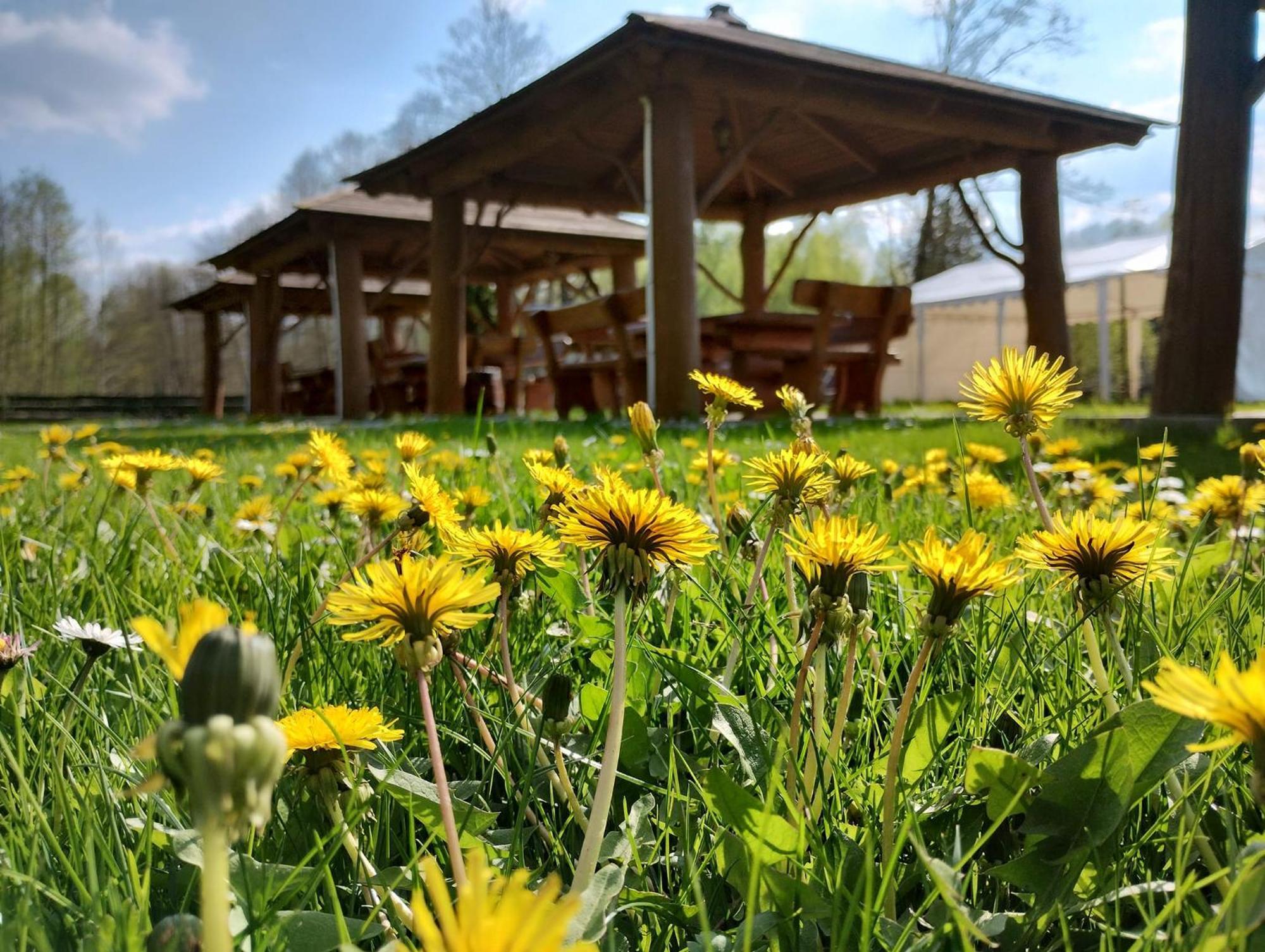 Mazowieckie Siolo Julianowka Exteriér fotografie
