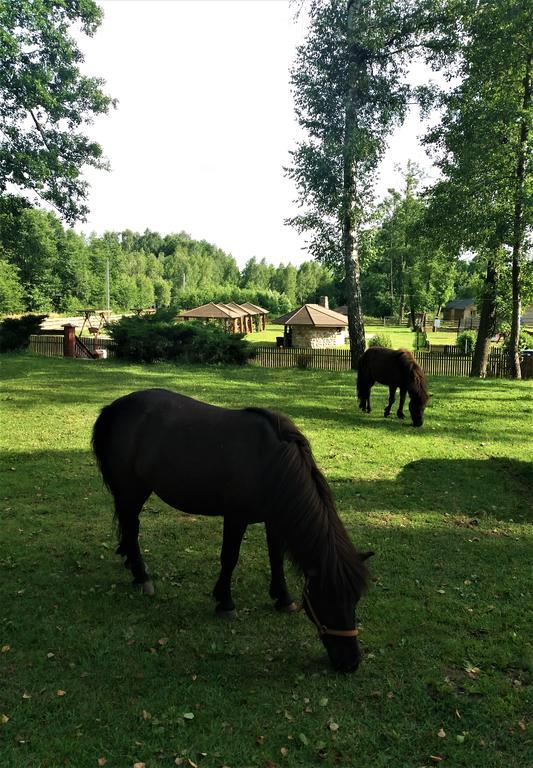 Mazowieckie Siolo Julianowka Exteriér fotografie